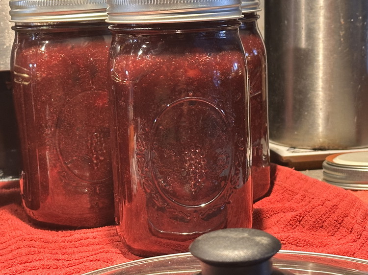 Image of Fill your jars using your normal canning process, leaving 1 inch of headspace. Water bath pints for 30 minutes and quarts for 35 minutes, depending on altitude.