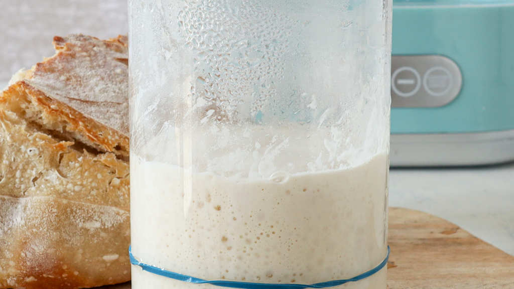 Image of Make Sourdough Bread Starter in a Luvele Yogurt Maker