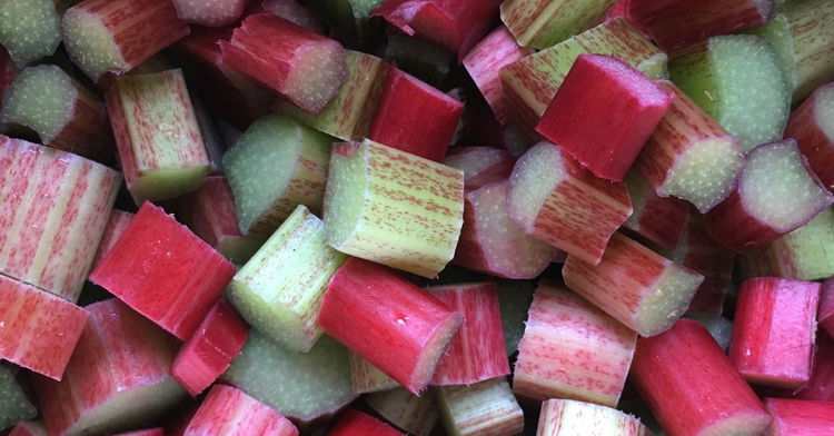 Image of 5️⃣ Montage.Dispose la rhubarbe bien égouttée en couche régulière (serre...