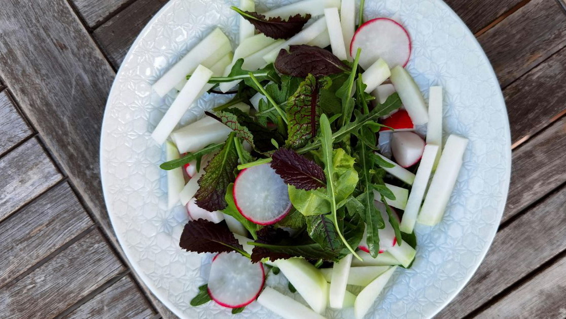 Ingrédients pour la salade de radis noir
