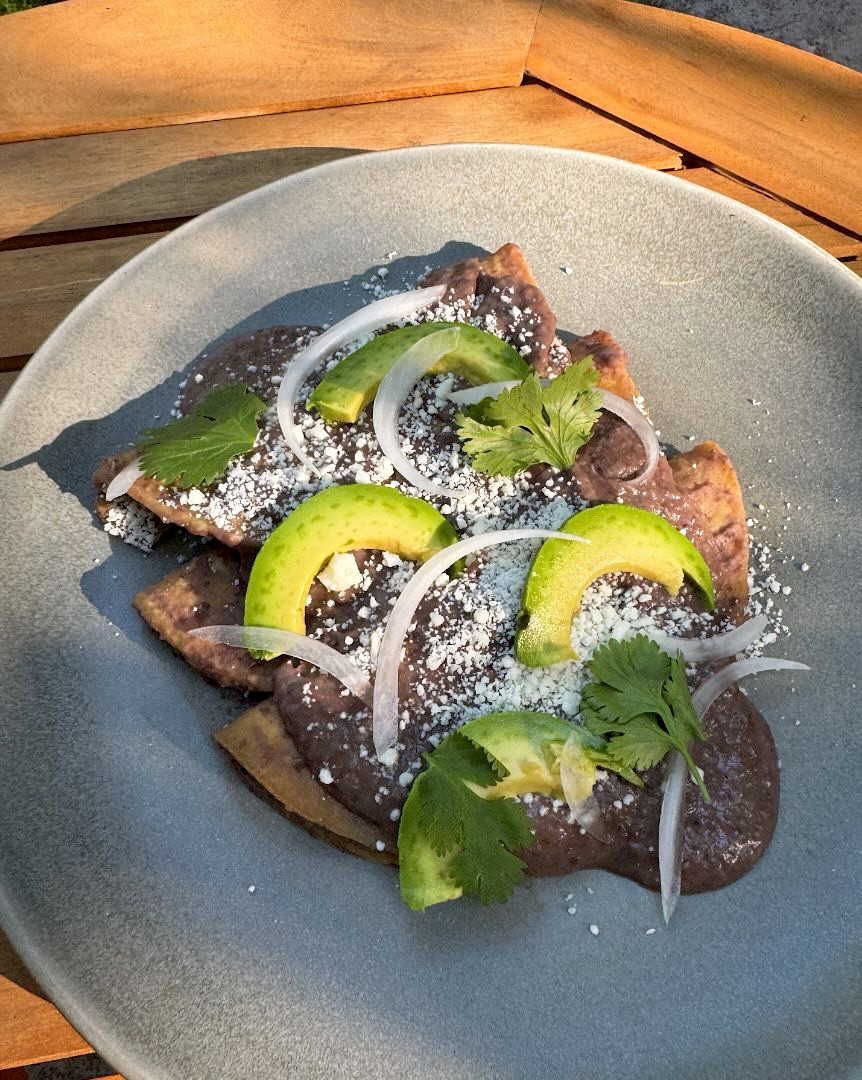 Easy Weeknight Enfrijoladas