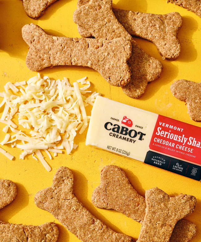 Image of Homemade Easy Cheddar Dog Treats