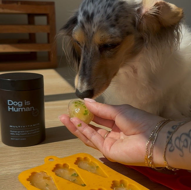 Image of šµGreen Tea Treats