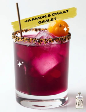 Image of Jaamun & Chaat Gimlet