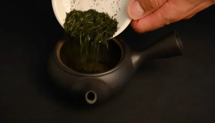 Image of Place 5 g of sencha tea leaves into your kyusu...