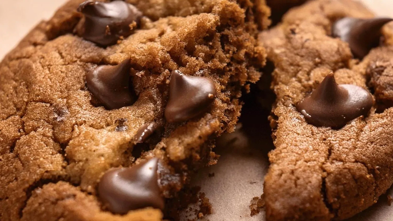 Gooey Gingerbread Spiced Chocolate Chip Cookie