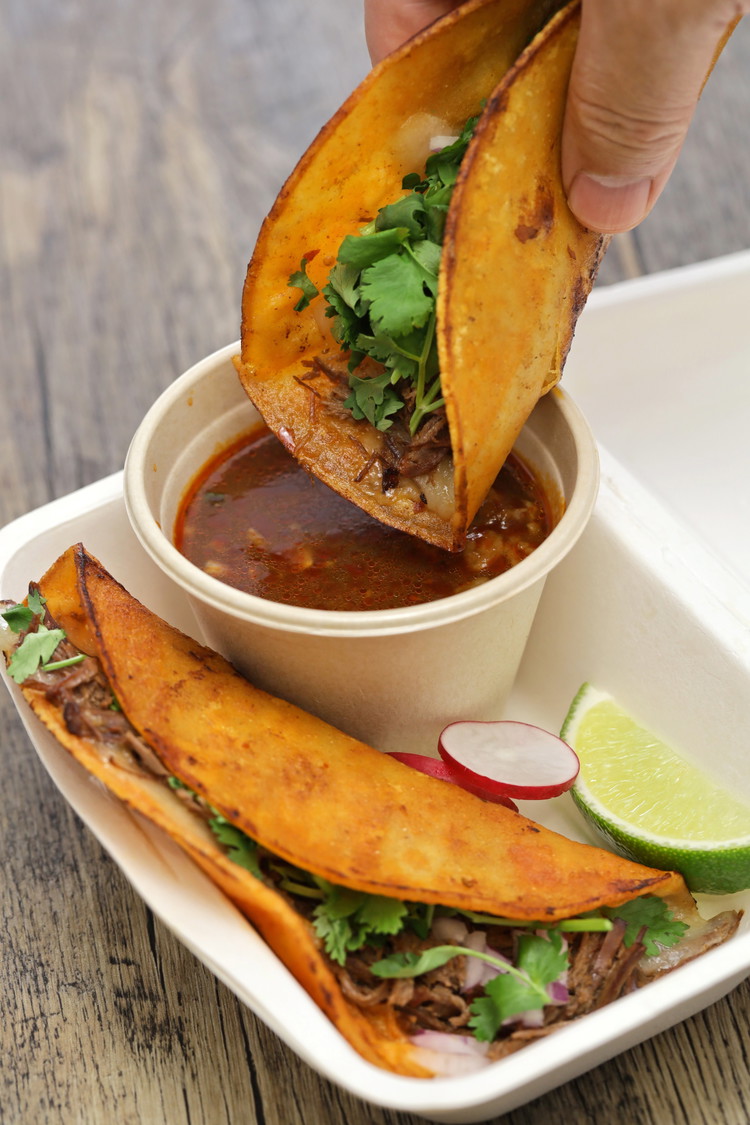 Image of Assemble tacos: Dip tortillas in the birria broth, place on a hot pan, sprinkle with cheese, add shredded goat, then fold. Cook until crisp and golden on both sides.