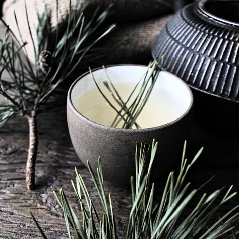 Image of Pine Needle Tea Recipe