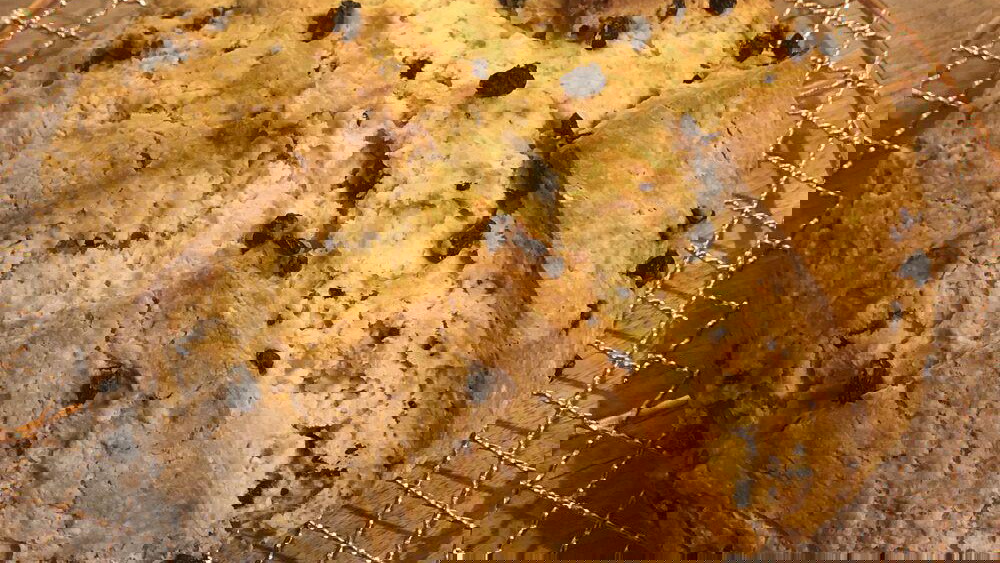 Image of Homemade Buttermilk for Irish Soda Bread