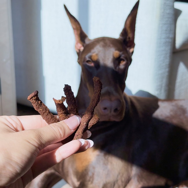Image of šFall Jerky Treats
