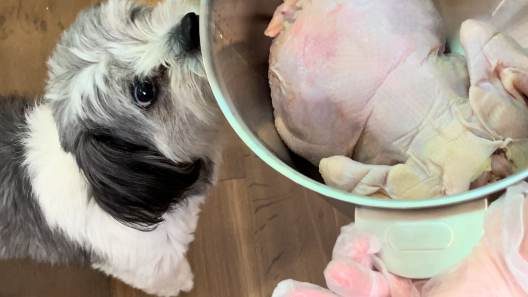 Image of How to Cook a Whole Chicken for Your Dog