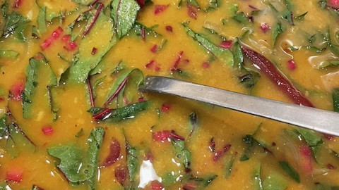 Photo by Preeti Mistry