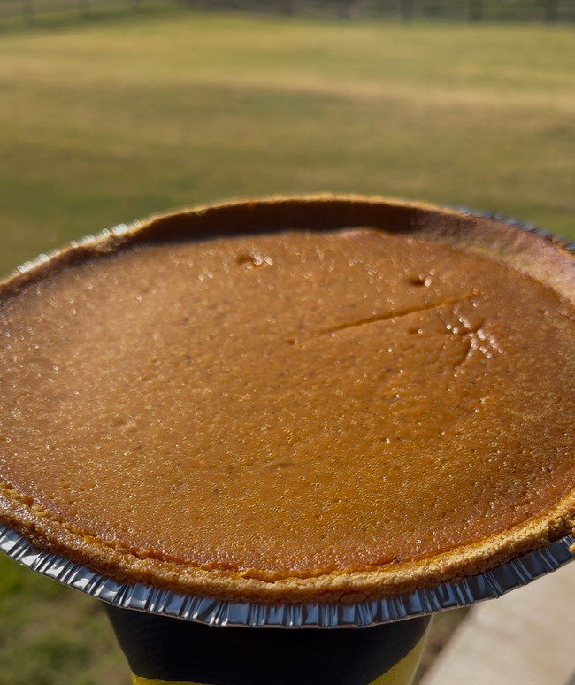 Image of Pumpkin Pie-YUM!