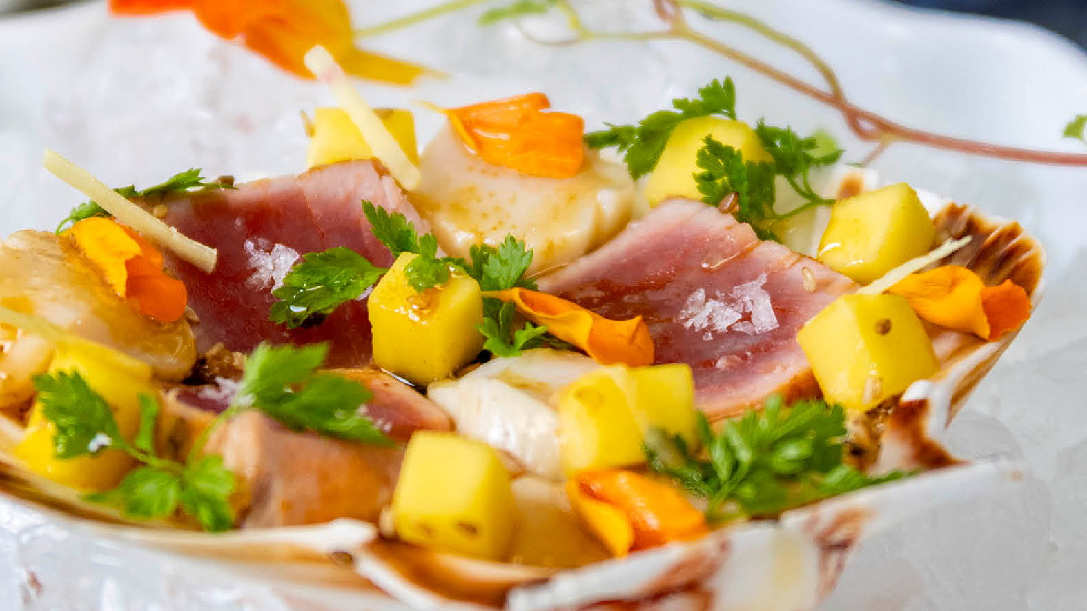 Image of Mosaik af tun og kammusling