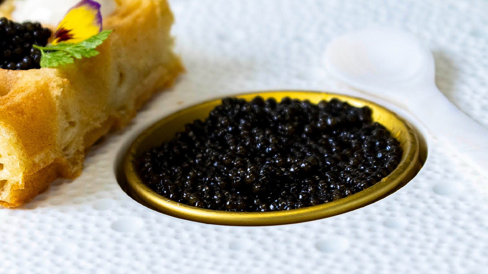 Image of Caviar en suprise