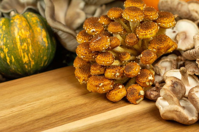 Image of Chestnut Mushroom Stuffing