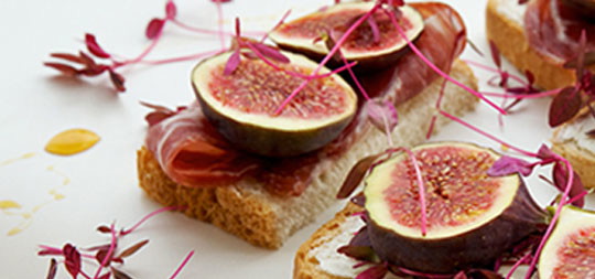 Fig, Melon and Prosciutto Panini