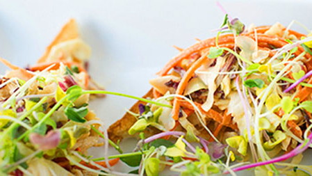 Shredded Chicken Salad