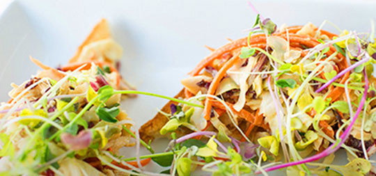 Shredded Chicken Salad