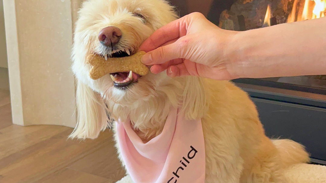 Image of Homemade Peanut Butter Dog Treats - Inspired by Meghan Markle