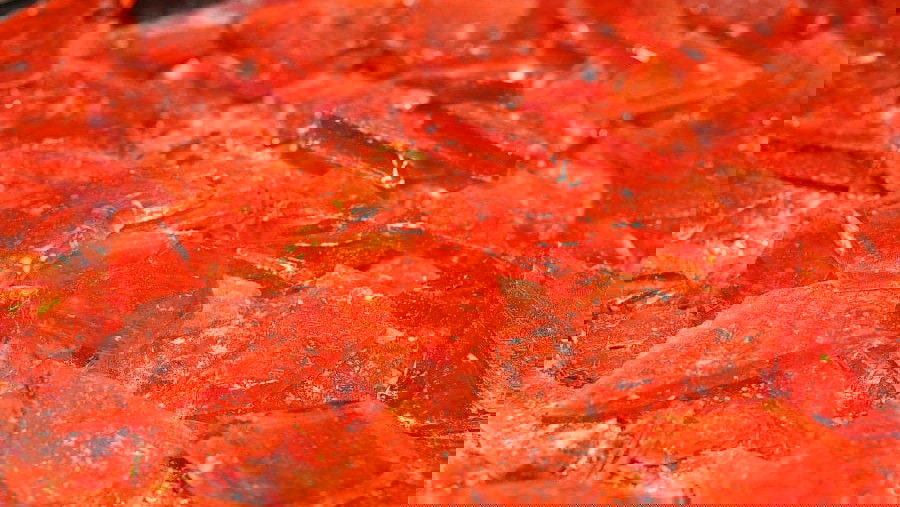 Image of Blood Orange Hard Candy (Bright & Tangy)