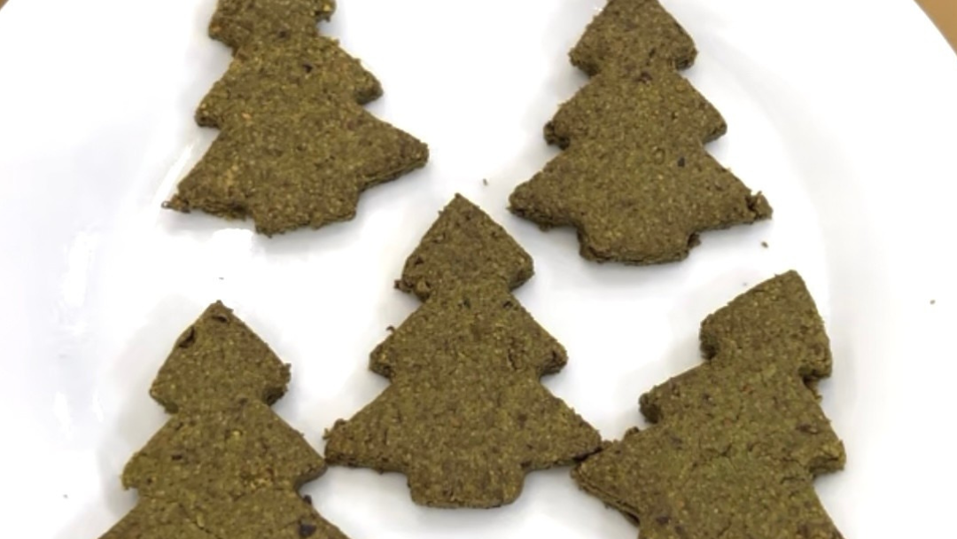 Image of DIY Dog Holiday Treat Jar