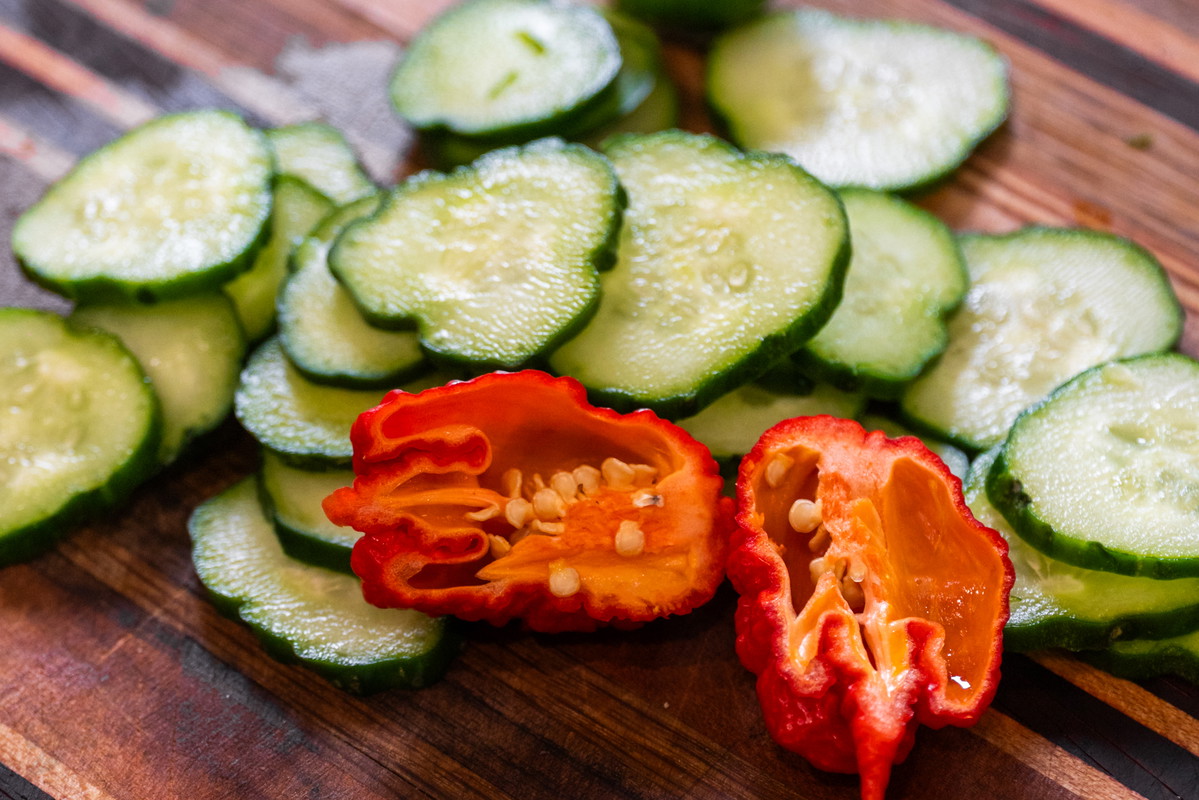 Primotalii Pickle Chips