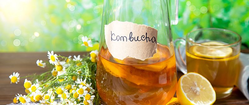 Kombucha Rezept
