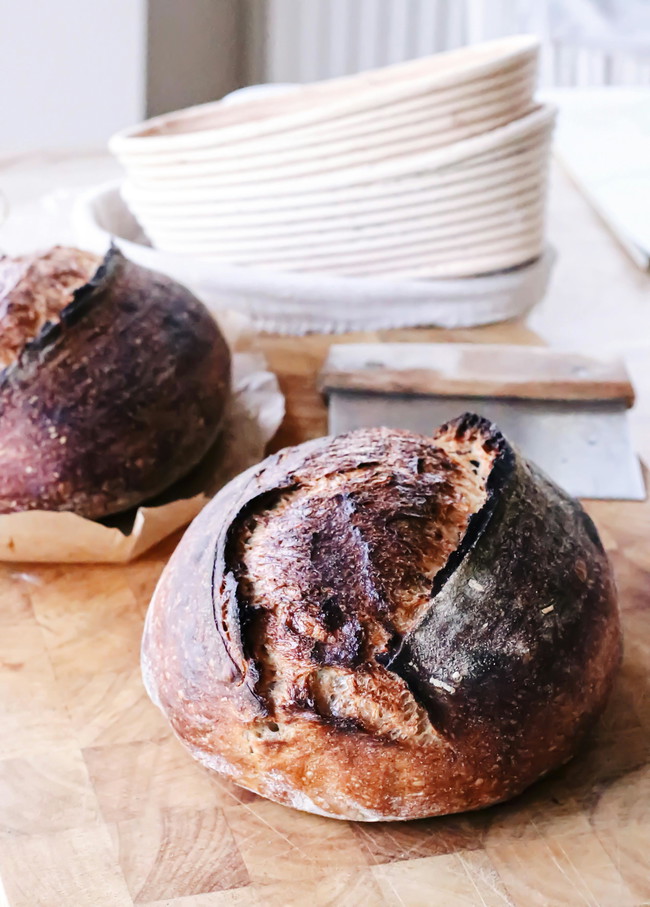 Image of Chocolate Sourdough Loaf