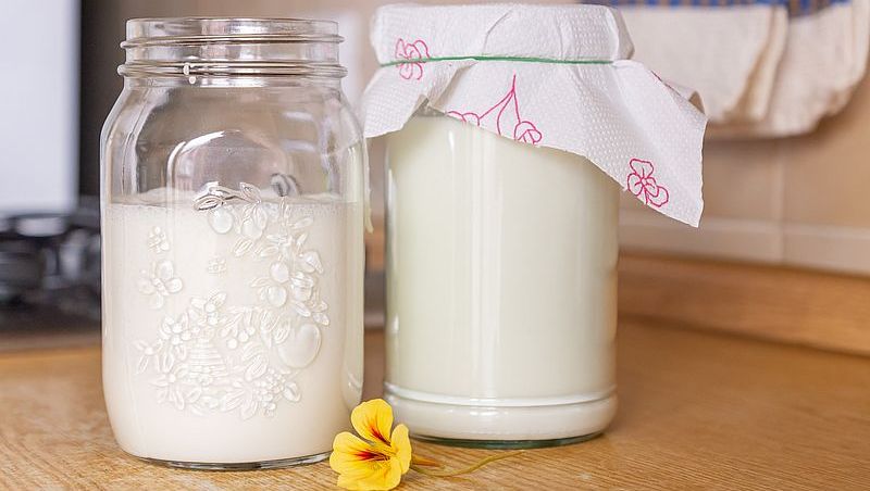Anleitung für einen laktosefreien Kefir