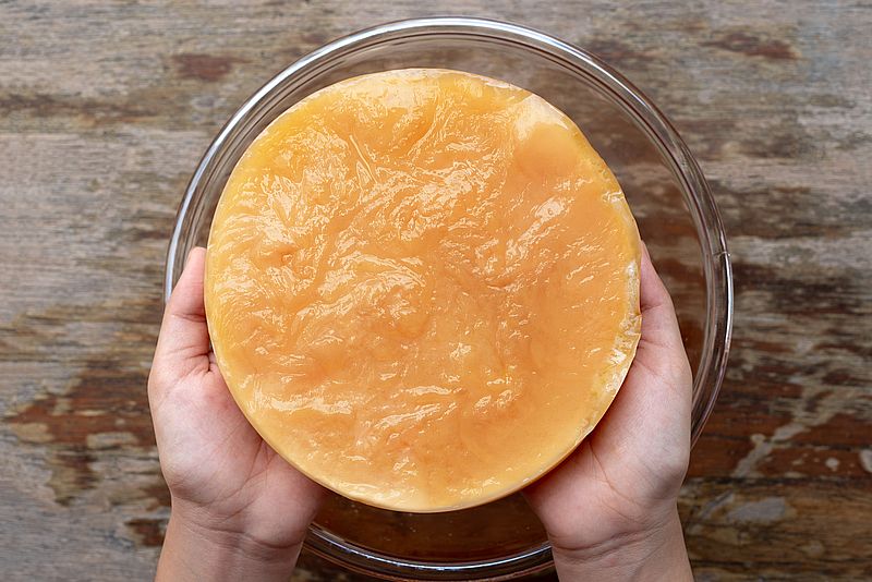 Scoby selber herstellen – Rezept mit Anleitung