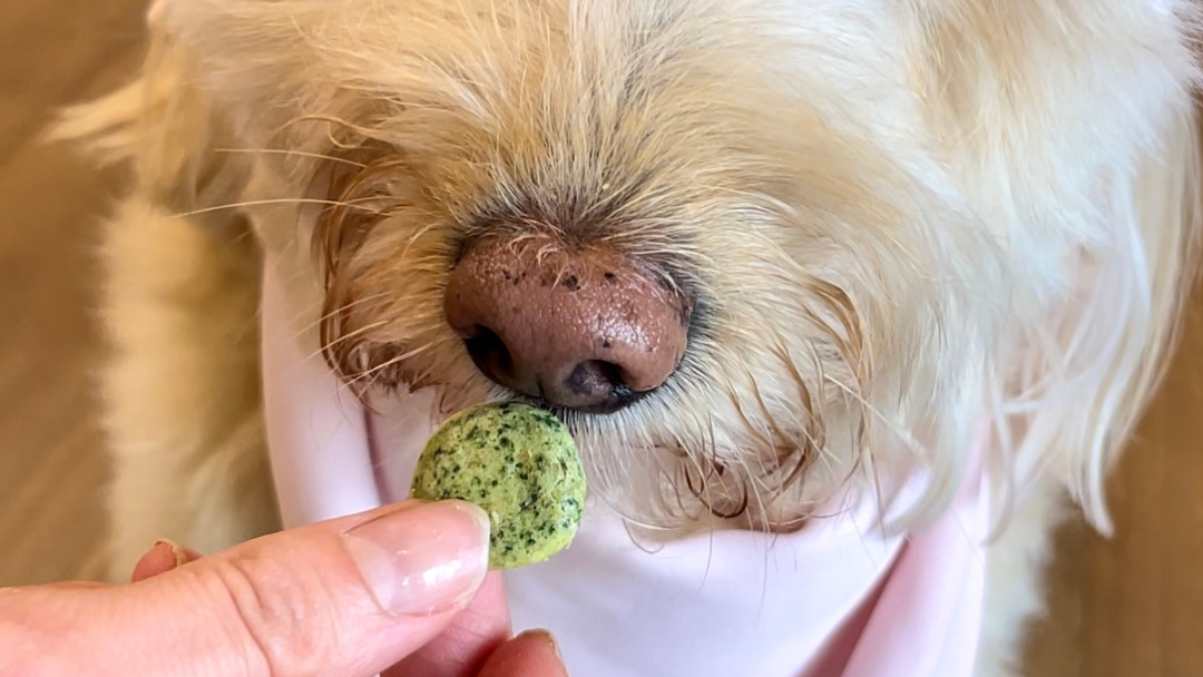 Image of Soft Healthy Spinach & Banana Puff Treats Recipe for Dogs