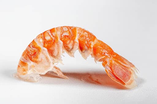 Image of Steamed Lobster Tails