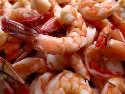 Image of Old Bay Steamed Shrimp