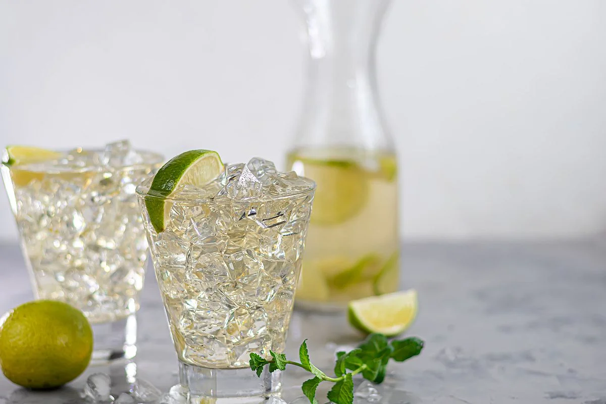 Kefir-Wasser-Alternative – Mit Zitrone und Minze
