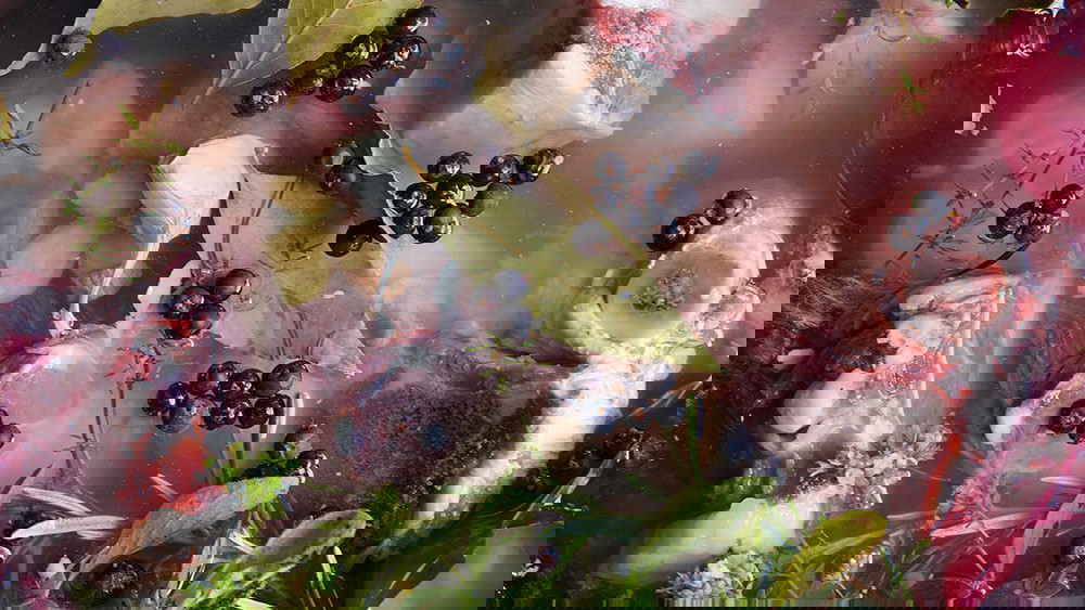 Knochensuppe oder Knochenbruehe