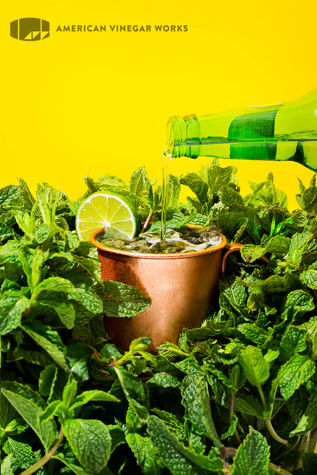 Vin Vin Mule American Vinegar Works