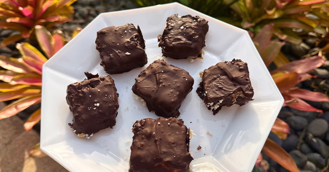 Vanilla Coconut Fit Butters Chocolate Bars
