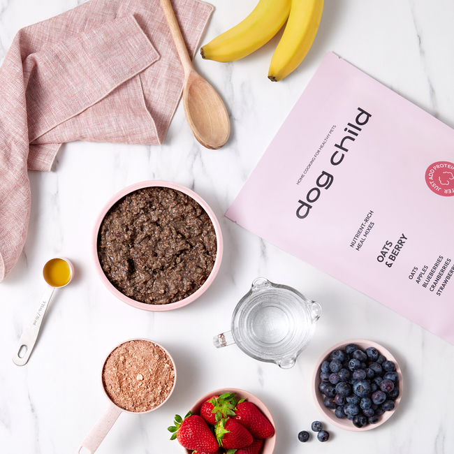 Fastest Fresh Dog Food Recipe (One Pan, 15 Minutes, 4 Ingredients)