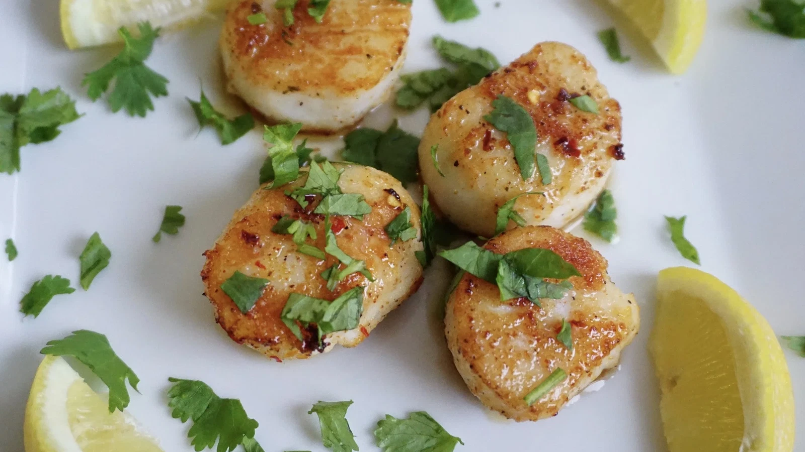 Image of Cilantro Pan Seared Scallops