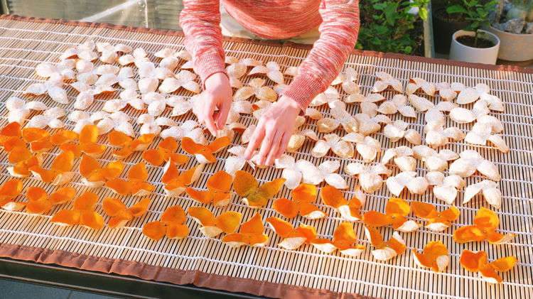 Image of The next day, place the peels back under direct sunlight...