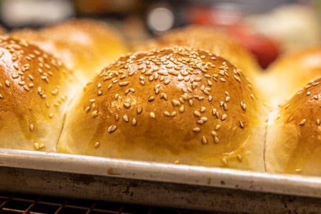 Homemade Hamburger Bun Recipe