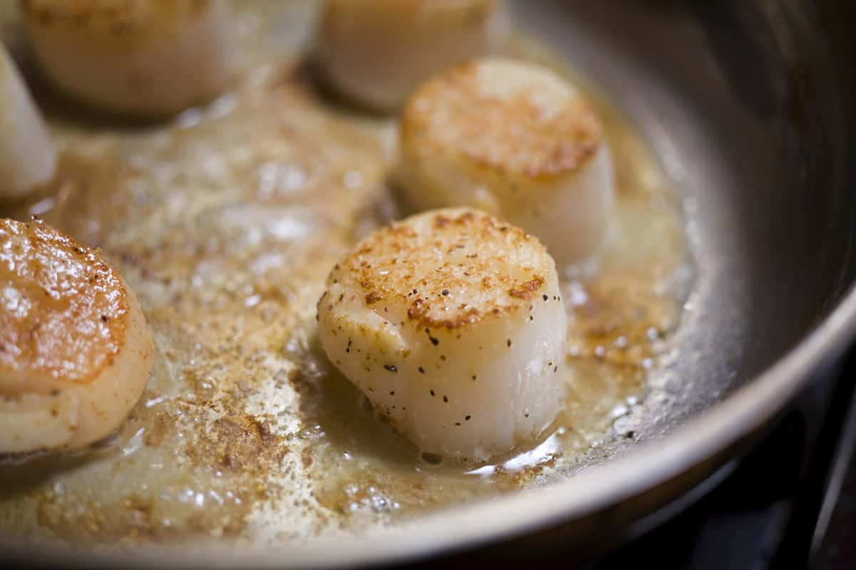 Seared Scallops