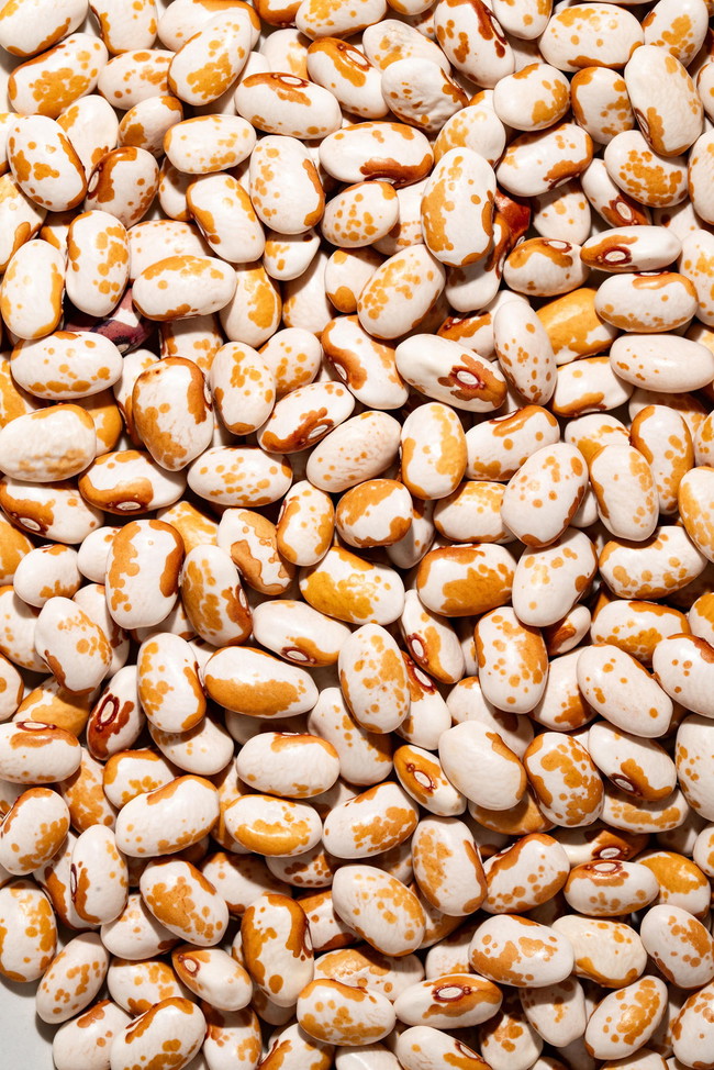 Dry Beans on the Stove