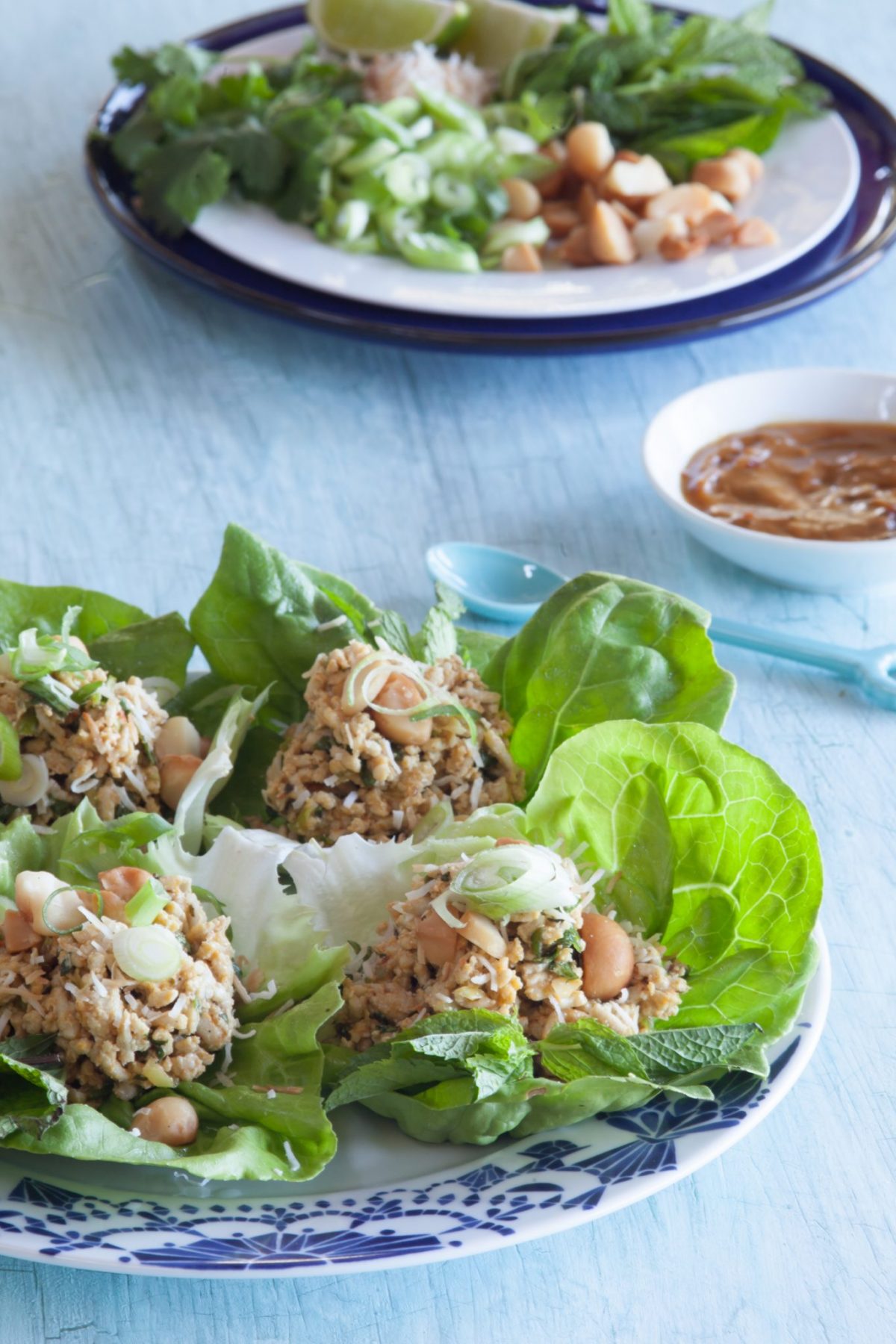 Thai Chicken Parcels