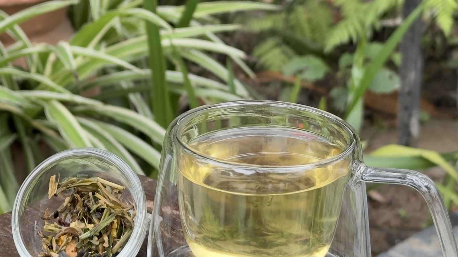 Stevia-Brewed Tea