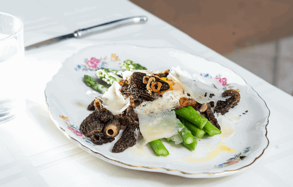 Asparagus, Morels & Egg