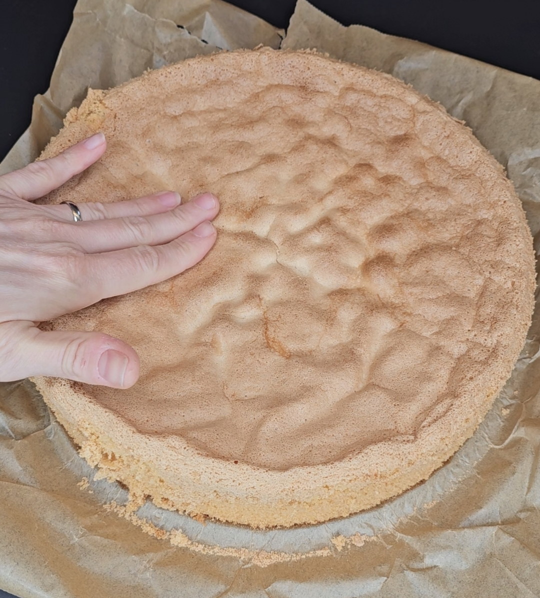 Hoher Biskuitboden (Ø 26 cm)