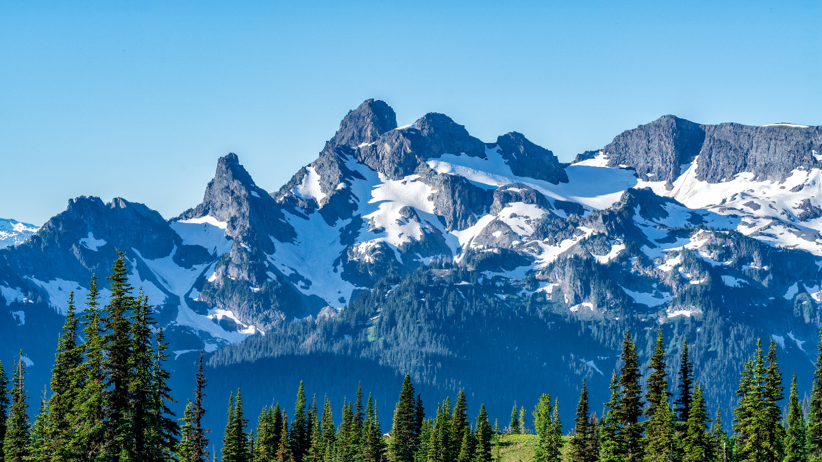 Crisp Mountain Air Diffuser Blend Recipe