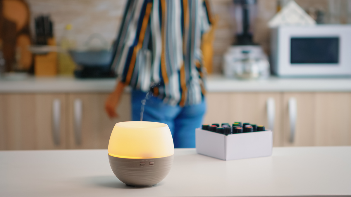No Bugs Welcome Diffuser Blend